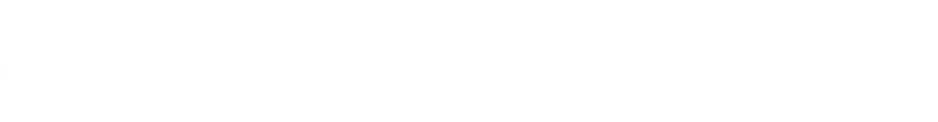 Profit Optimizer PRO